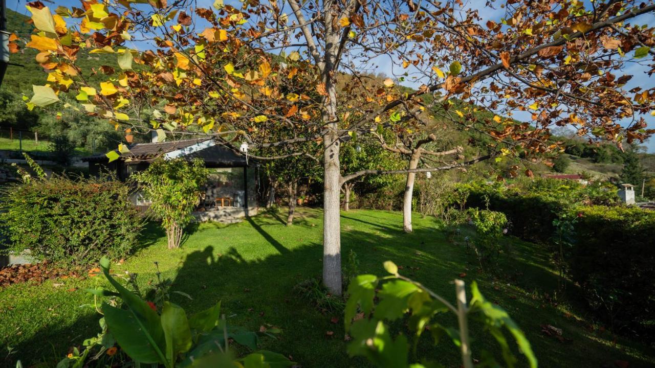 Lago Village House Kalambaka Zewnętrze zdjęcie